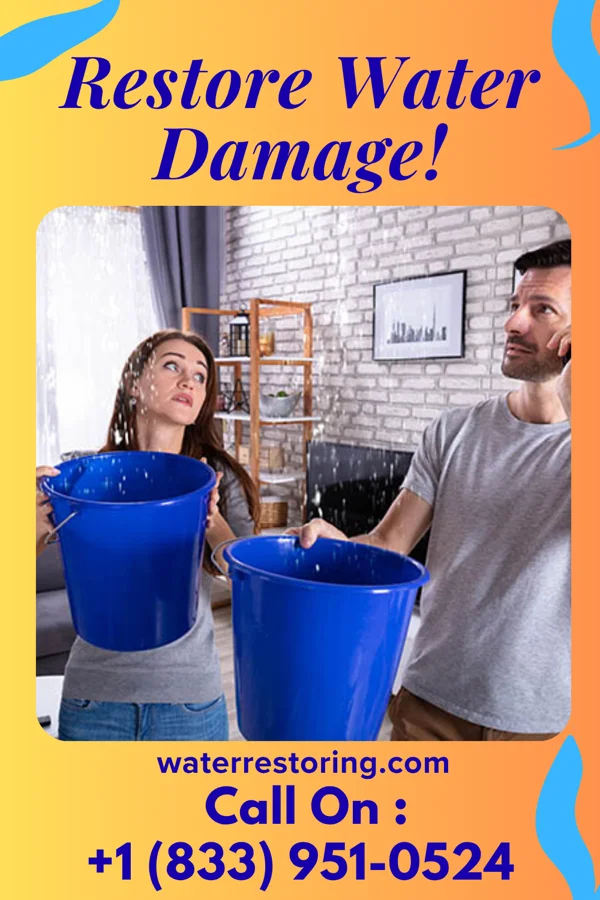water restoration Rapid Mitigation Solutions Montpelier