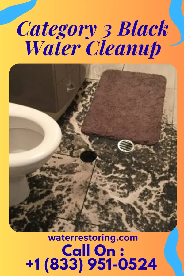 Category 3 Black Water Cleanup in Montpelier, VT