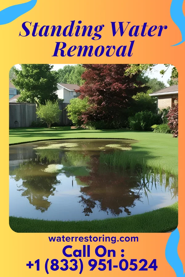 Standing Water Removal in Montpelier, VT